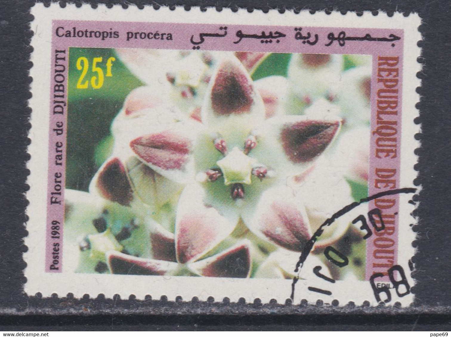 Djibouti N° 655  O :  Fleur  Djiboutienne Oblitérée TB - Dschibuti (1977-...)