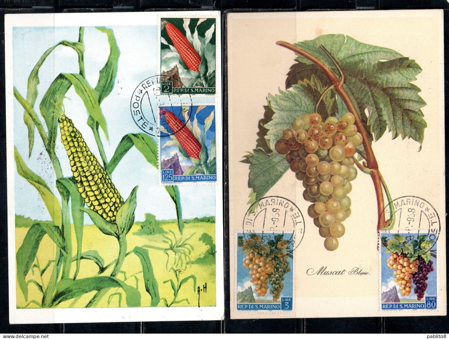 REPUBBLICA DI SAN MARINO 1958 FRUTTA E PRODOTTI AGRICOLI FRUIT SERIE COMPLETA FULL SET MAXI MAXIMUM CARD CARTOLINA CARTE - FDC