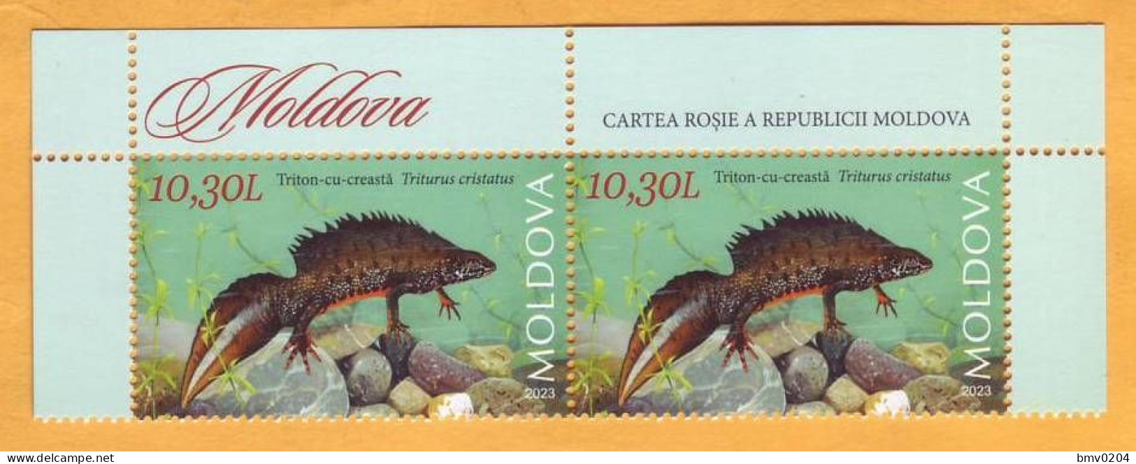 2023  Moldova Fauna, Nature „Red Book Of Republic Of Moldova. Reptiles And Batrachians.” Triturus Cristatus, 2v Mint - Autres & Non Classés