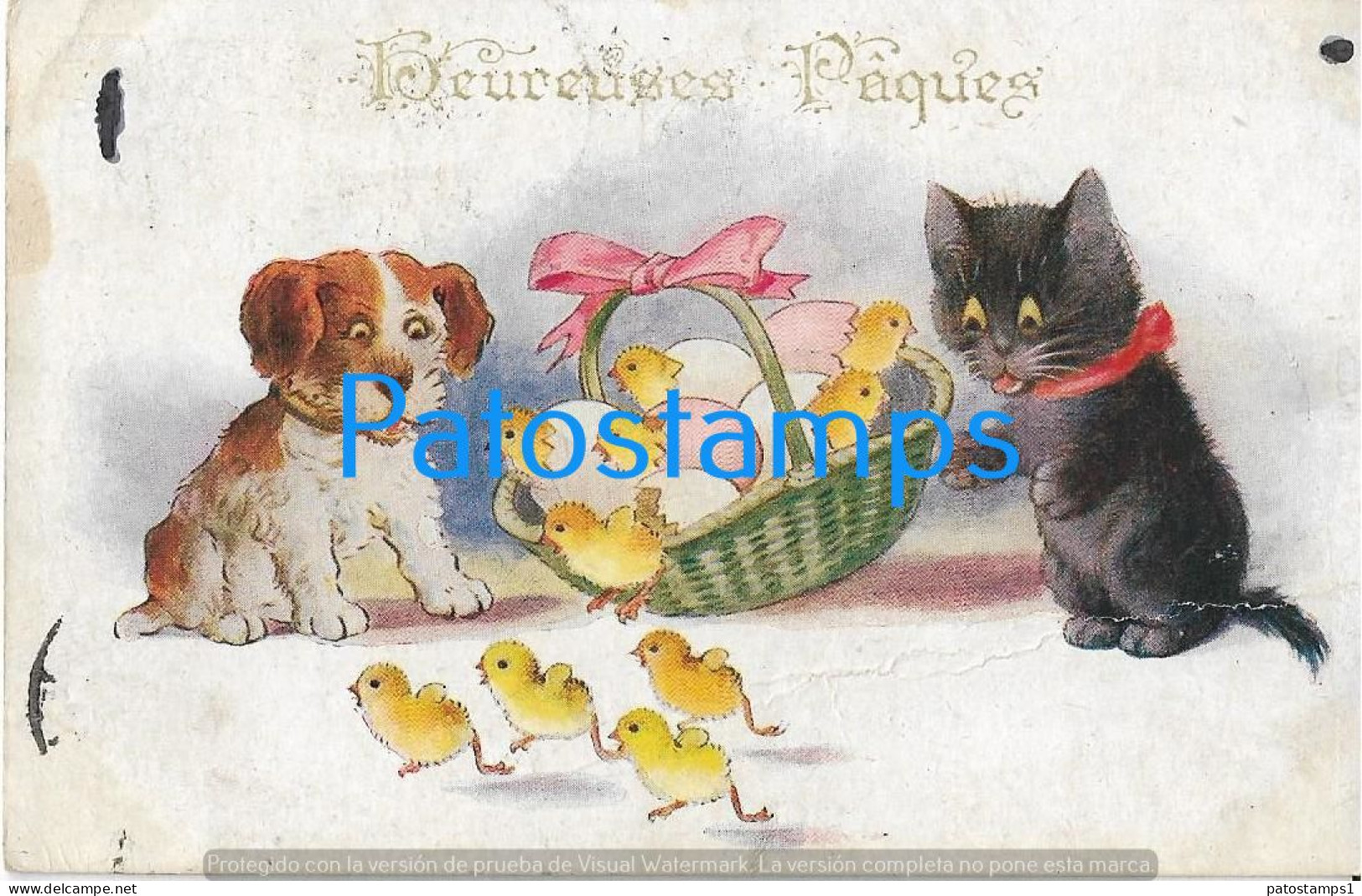 228991 ART ARTE DOG AND CAT BASKET CHICKS BREAK CIRCULATED TO FRANCE POSTAL POSTCARD - Non Classés