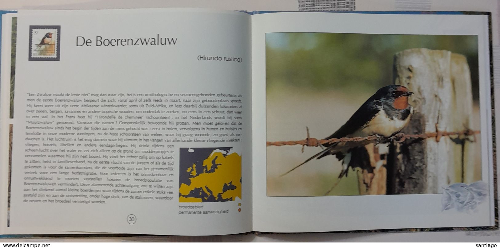 Belgie : 'De Vogeltjes Van André Buzin"  Uitgave Van DE POST / 56 Blz - Sonstige & Ohne Zuordnung