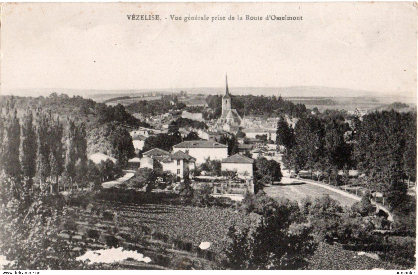 VEZELISE ( 54 ) - Vue Générale Prise De La Route D'Omelmont - Vezelise