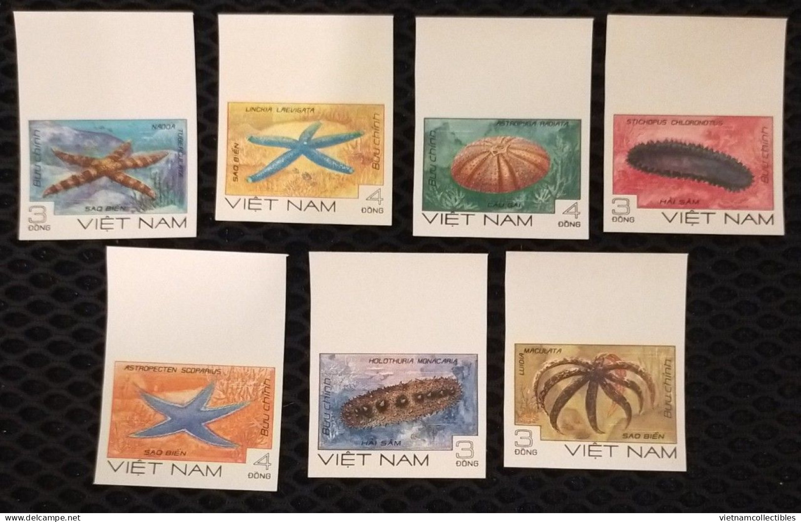 Vietnam Viet Nam MNH Imperf Stamps 1985 : Marine Life / Starfish (Ms471) - Viêt-Nam