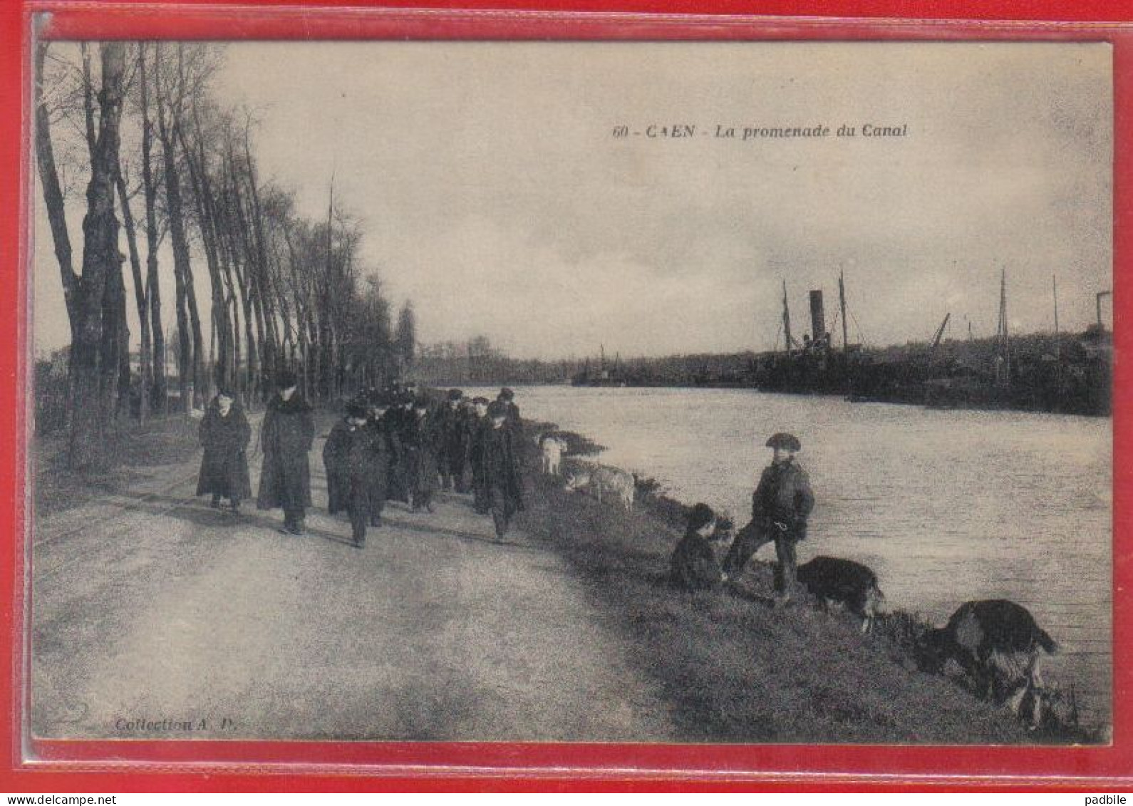 Carte Postale 14. Caen La Promenade Du Canal  Très Beau Plan - Caen