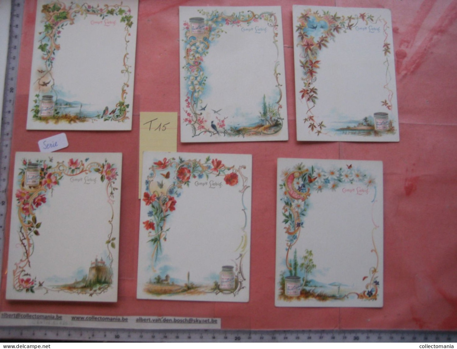 6 Cartes Chromos, 1898, Liebig Compagnie Complete Set  Tischkarten, Cartes De Table Nr 15 - Floral-landscapes - Liebig