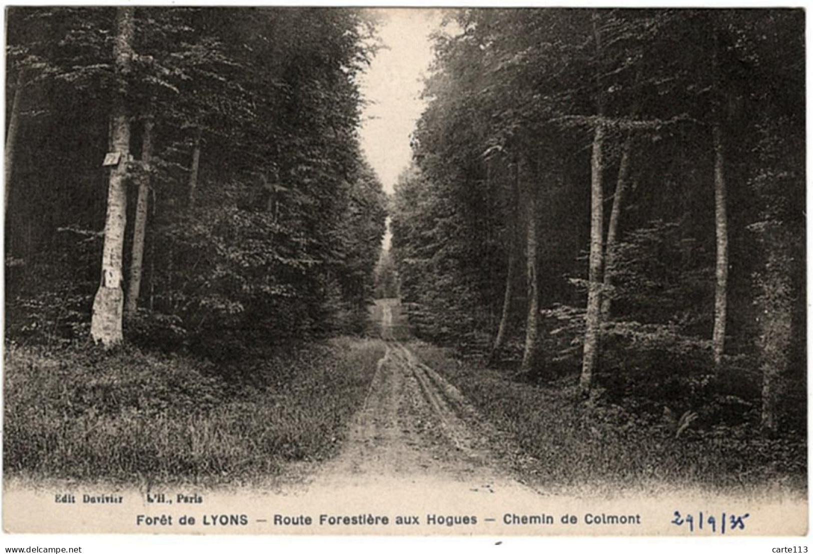 27 - B26234CPA - LYONS LA FORET - Chemin De Colmont - Route Forestiere Aux Hogues - Très Bon état - EURE - Lyons-la-Forêt
