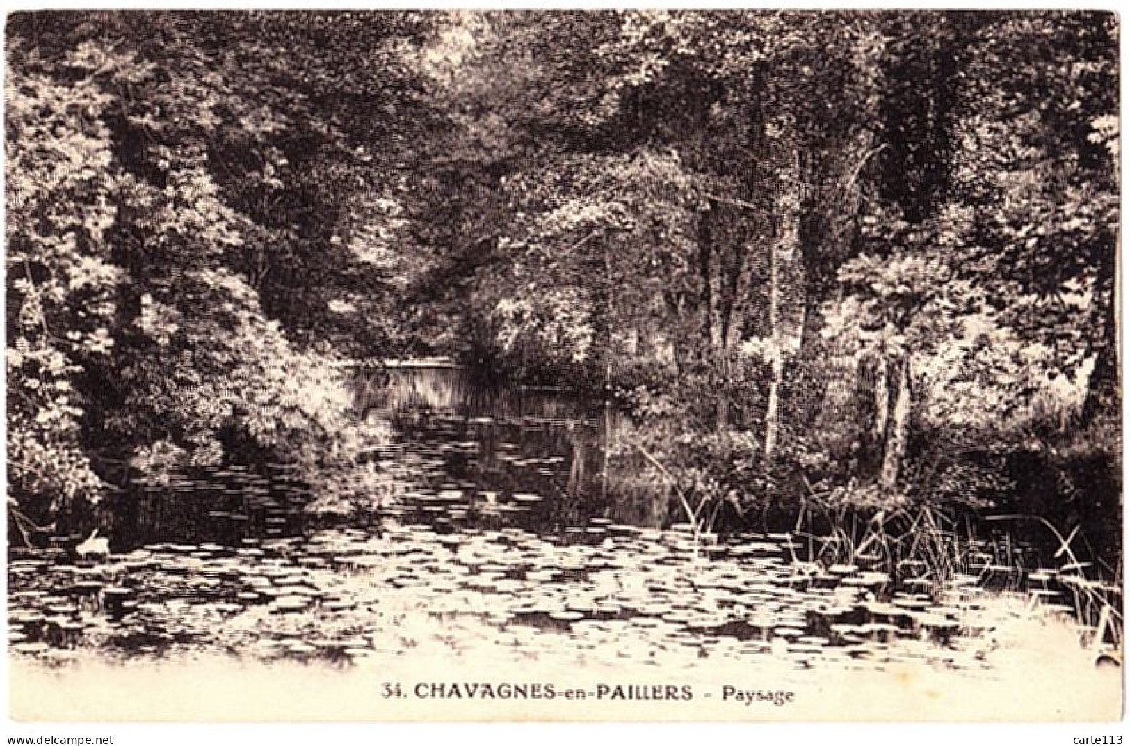 85 - B21869CPA - CHAVAGNES EN PAILLERS - Paysage - Parfait état - VENDEE - Other & Unclassified