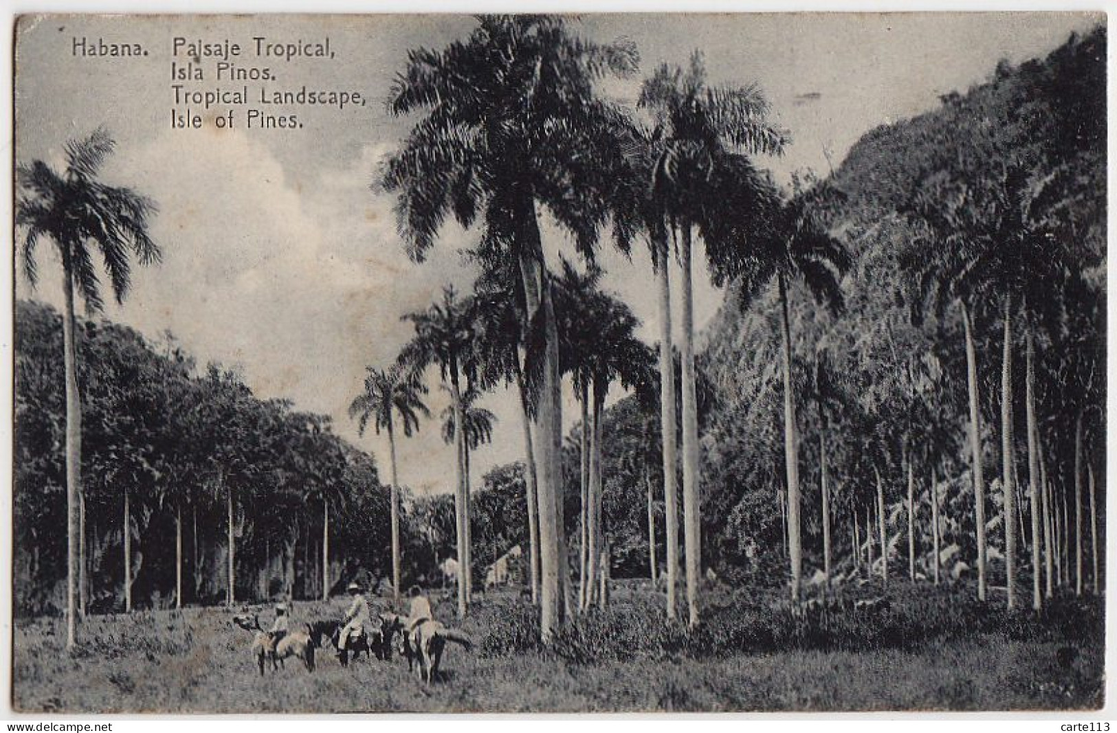 0 - B17463CPA - CUBA - ISLA DE LA JUVENTUD - Habana - Paisaje Tropical - Isla Pinos - Tropical Landscae - Isle Of Pines - Cuba