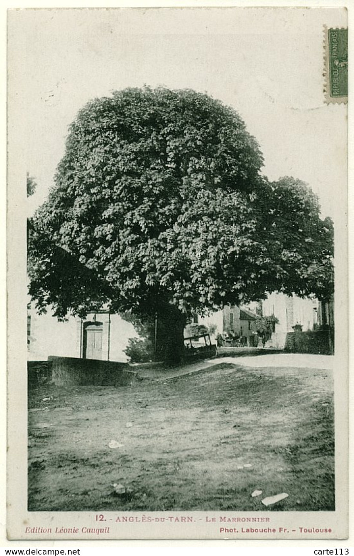 81 - B16692CPA - ANGLES DU TARN - Le Marronnier - Arbre Remarquable - Très Bon état - TARN - Angles