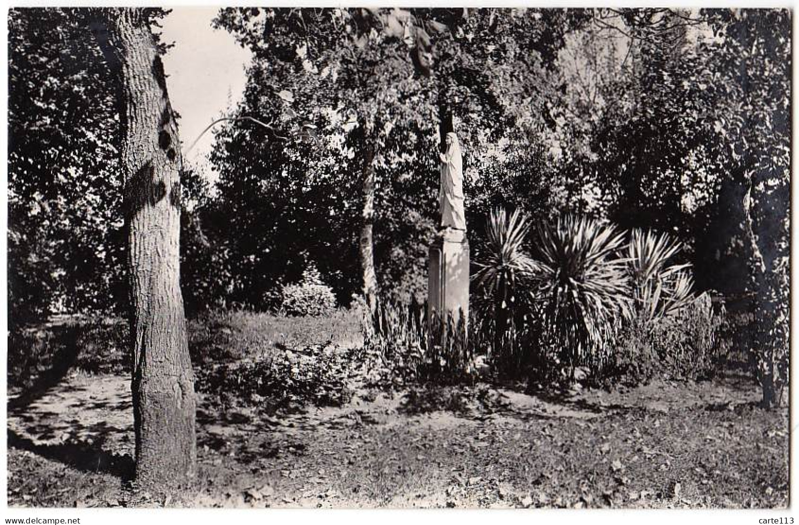 81 - B16577CPSM - MASSAC - Notre Dame Des Etudiantes - Couvent, Le Parc - Très Bon état - TARN - Autres & Non Classés