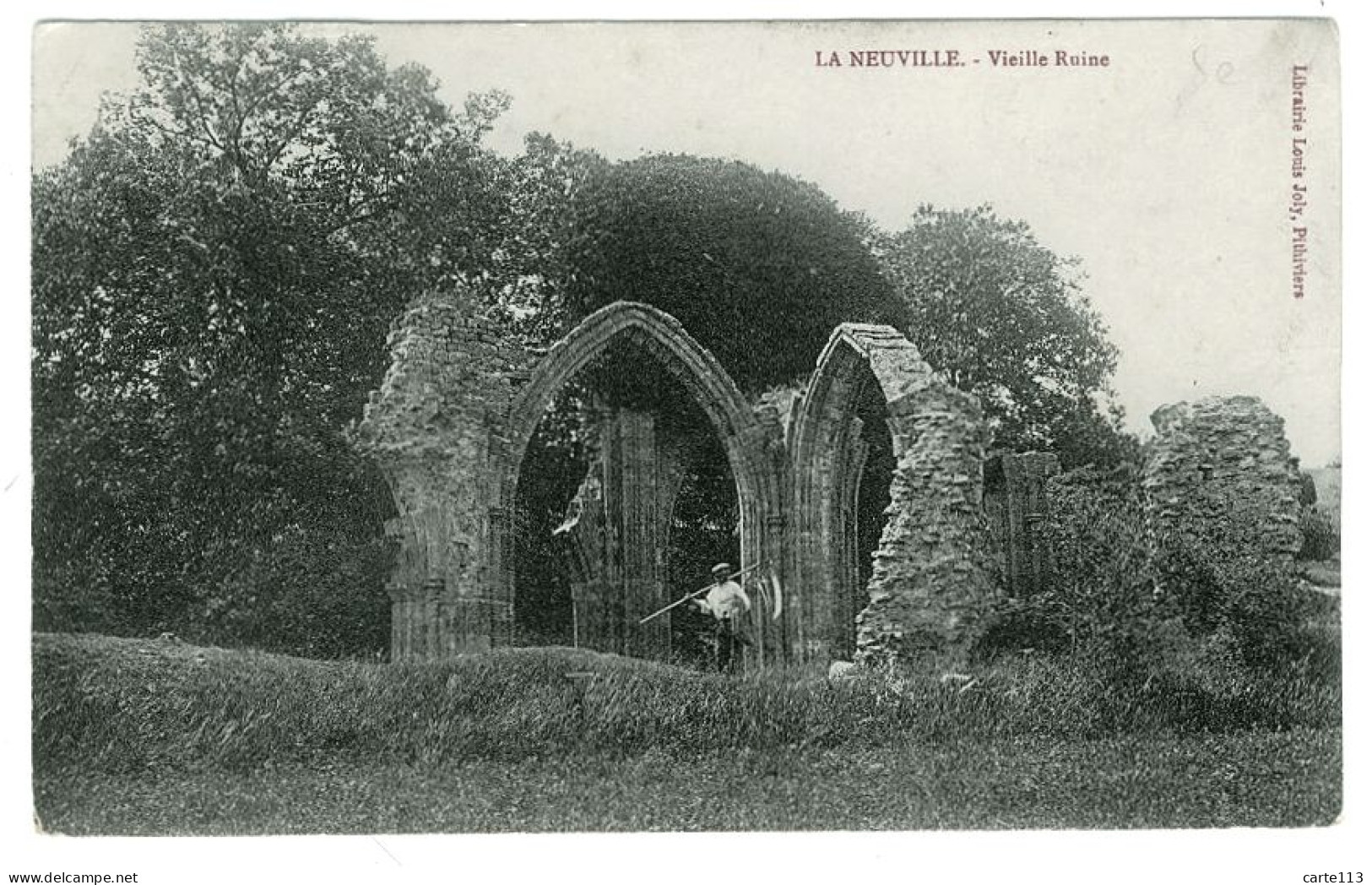 45 - B3500CPA - LA NEUVILLE - Vieille Ruine - Très Bon état - LOIRET - Andere & Zonder Classificatie