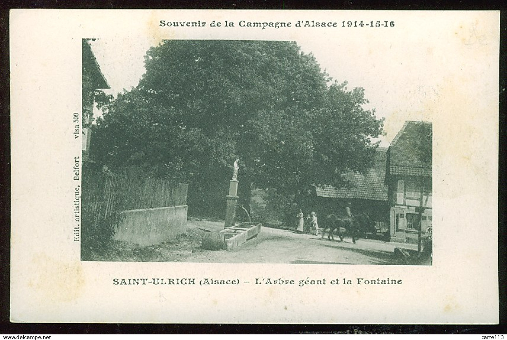 68 - B1738CPA - SAINT ULRICH - L'arbre Géant Et La Fontaine - Bon état - HAUT-RHIN - Sonstige & Ohne Zuordnung