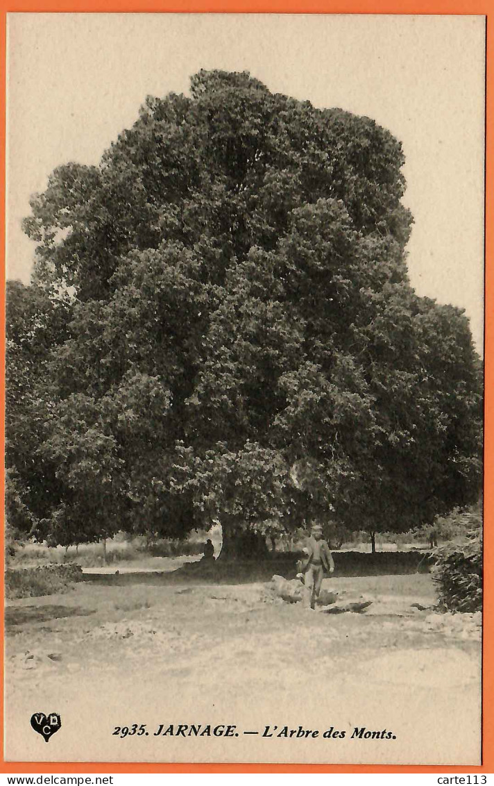 23 - B34552CPA - JARNAGE - JARNAGES - L'arbre Des Monts (Tilleul) - Très Bon état - CREUSE - Other & Unclassified
