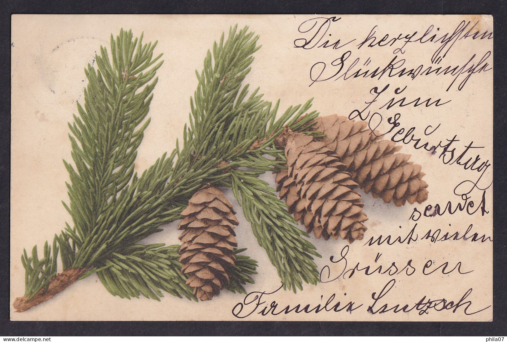 Cones ... / Year 1902 / Long Line Postcard Circulated, 2 Scans - Altri & Non Classificati