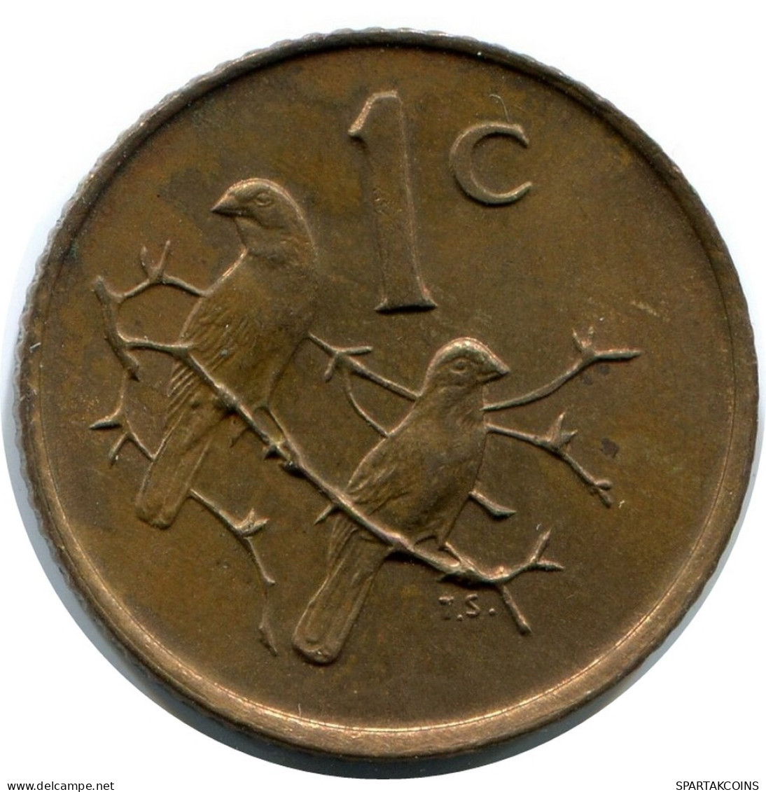 1 CENT 1982 SUDAFRICA SOUTH AFRICA Moneda #AX176.E.A - Afrique Du Sud