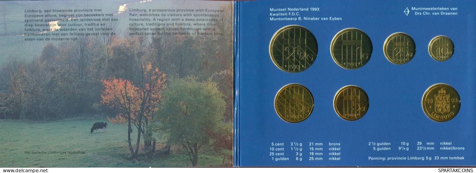 NEERLANDÉS NETHERLANDS 1993 MINT SET 6 Moneda + MEDAL #SET1113.7.E.A - Mint Sets & Proof Sets