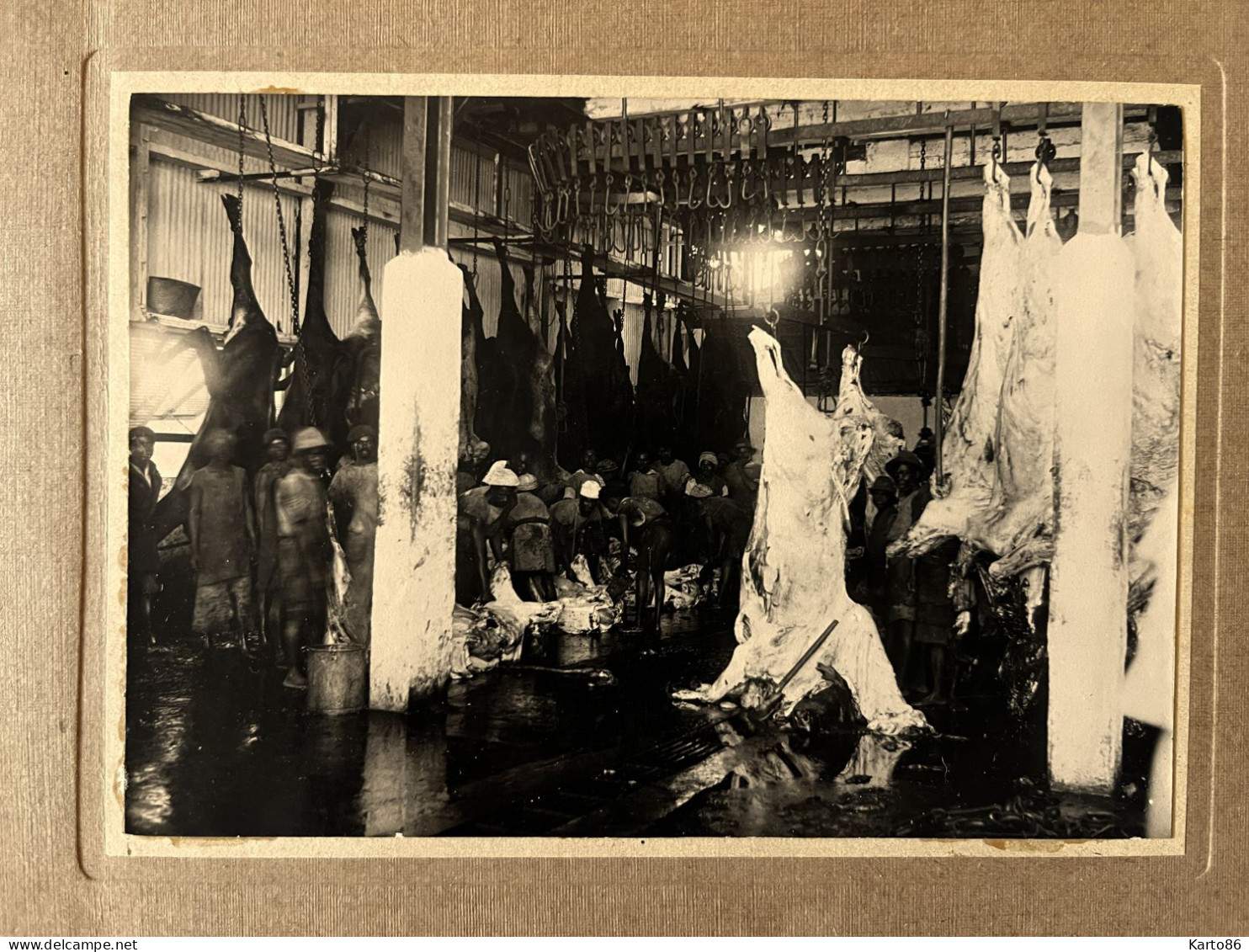 Boanamary , Madagascar * Abattoirs Dépouillage Des Boeufs Tués Juillet 1930 * Boucherie Boucher Abattoir * Photo 17x12cm - Madagaskar