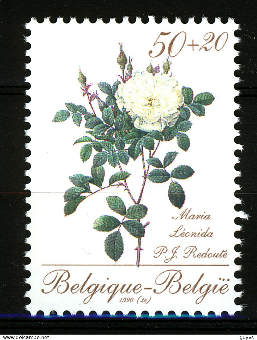 België/Belgique 2355 ** COB = 7 Euro Vl2662 - Unused Stamps