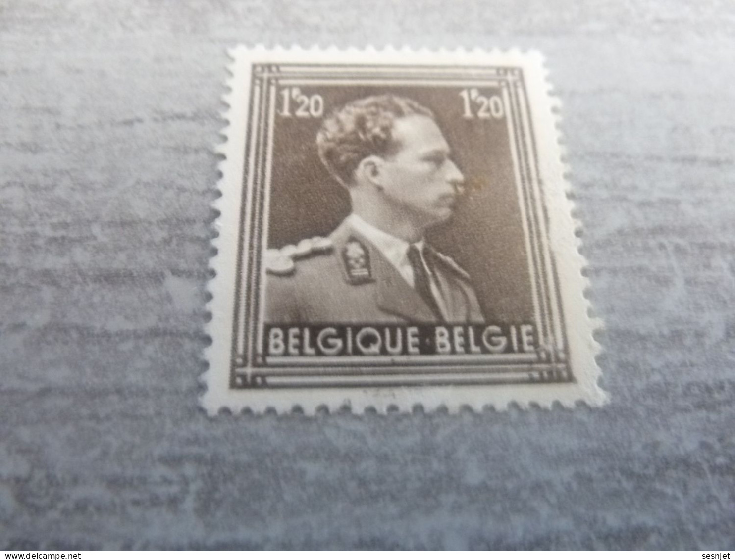 Belgique - Albert 1 - Val  1f.20 - Brun - Non Oblitéré - Année 1951 - - Nuovi