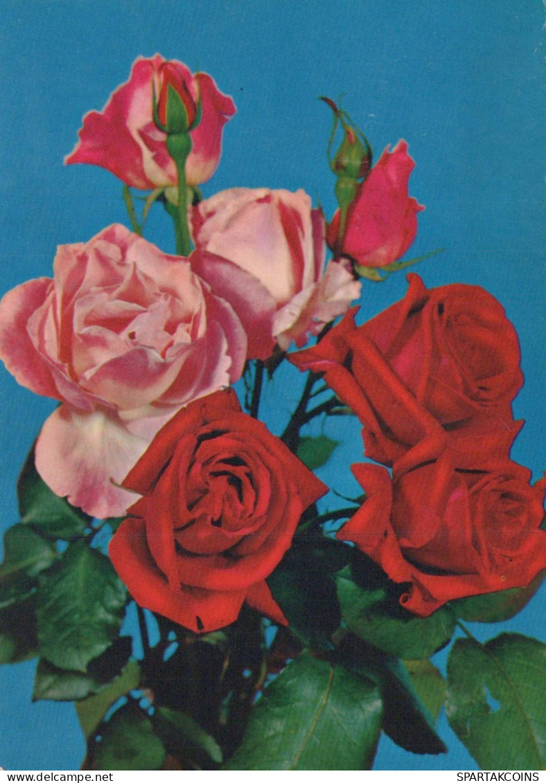 FIORI Vintage Cartolina CPSM #PAS586.A - Flowers