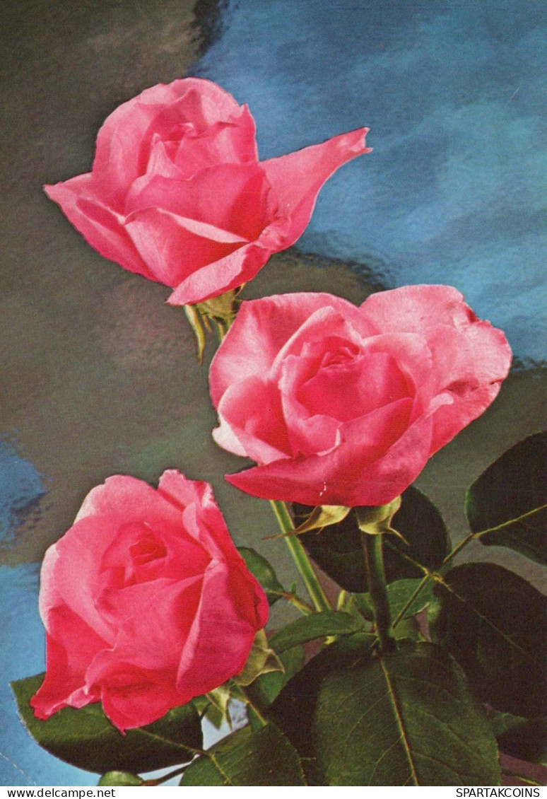 FIORI Vintage Cartolina CPSM #PAR965.A - Flowers