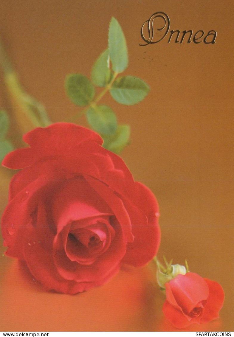 FIORI Vintage Cartolina CPSM #PAS246.A - Flowers
