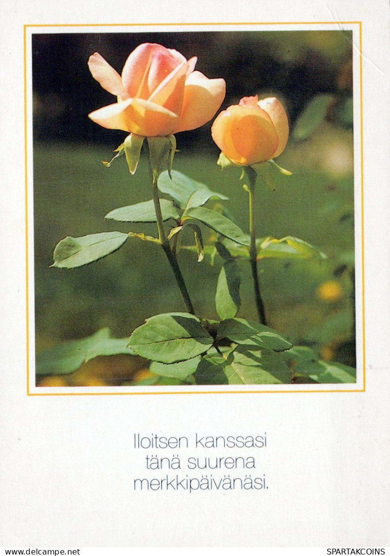 FIORI Vintage Cartolina CPSM #PAS181.A - Flowers