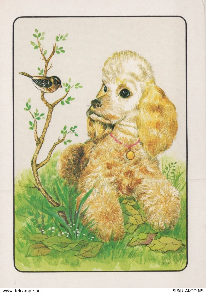 HUND Tier Vintage Ansichtskarte Postkarte CPSM #PAN946.A - Hunde