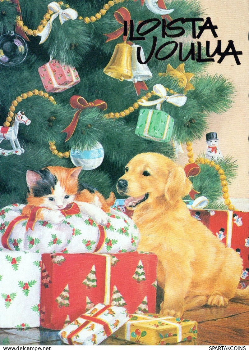 DOG Animals Vintage Postcard CPSM #PAN597.A - Chiens