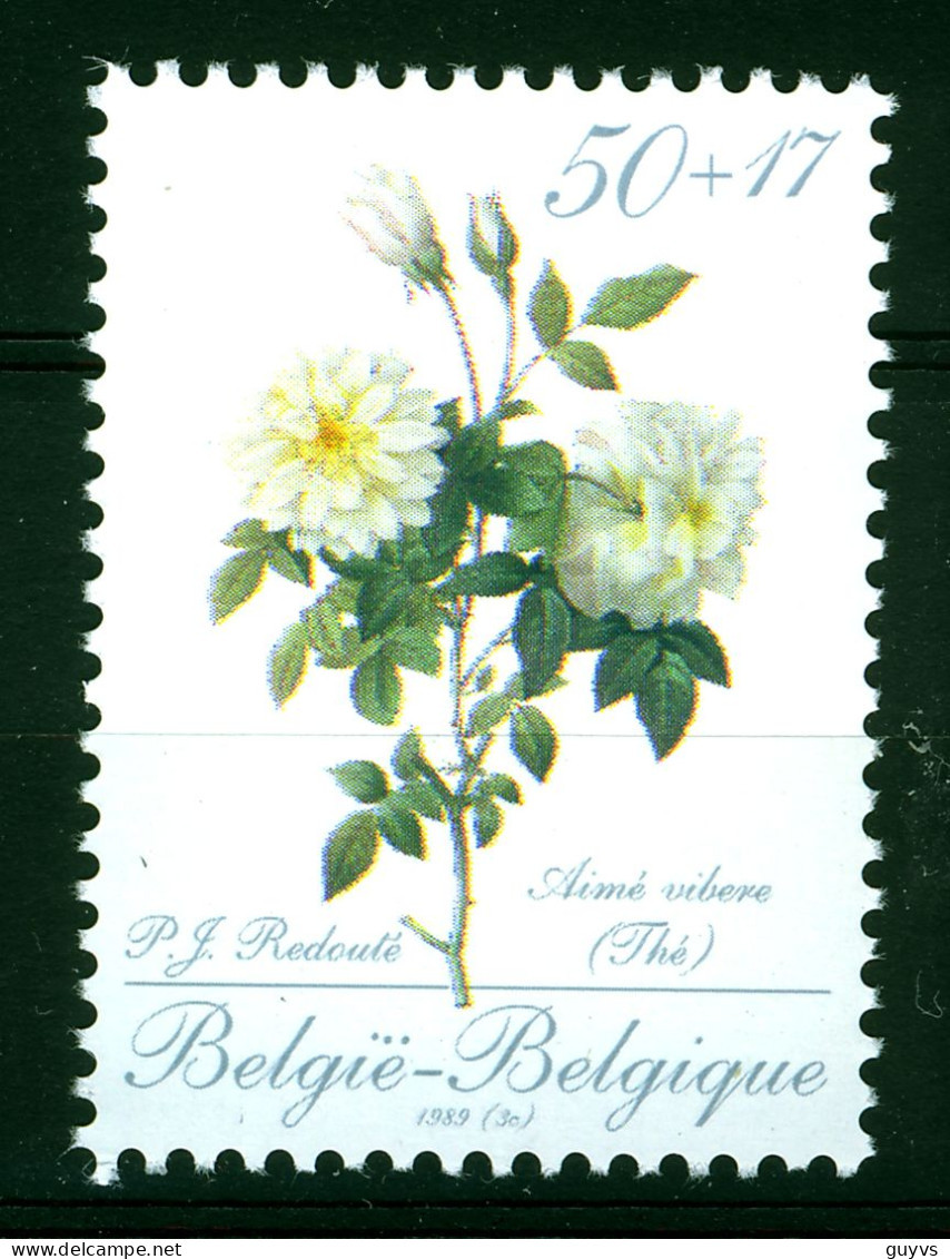 België/Belgique 2320 ** COB = 7 Euro Vl2662 - Nuevos