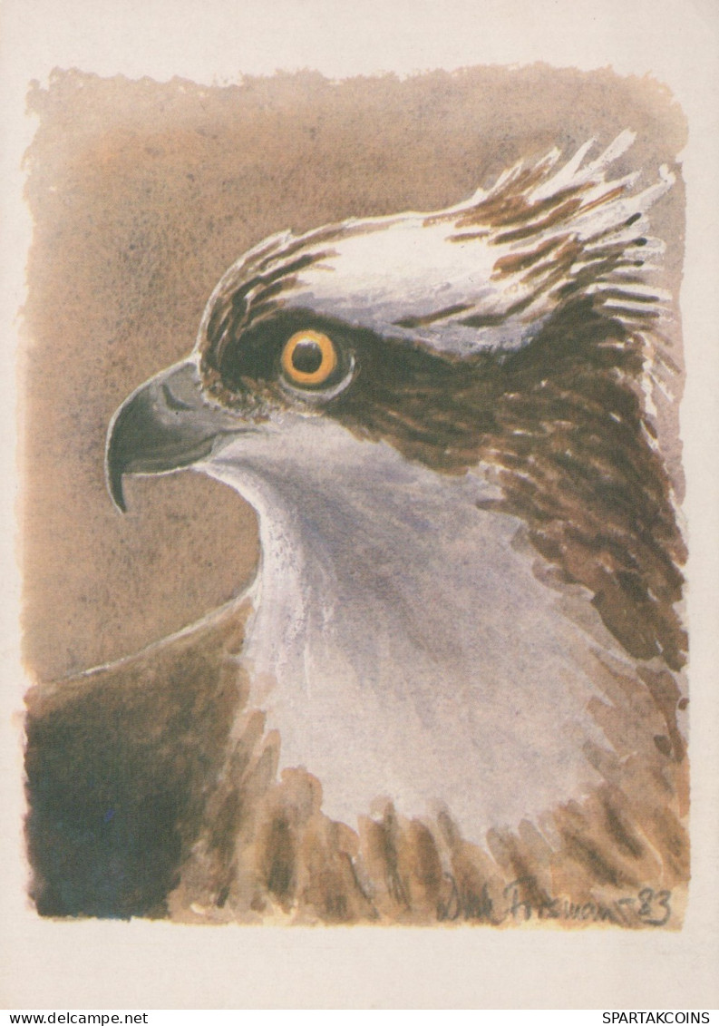 VOGEL Tier Vintage Ansichtskarte Postkarte CPSM #PAN306.A - Pájaros