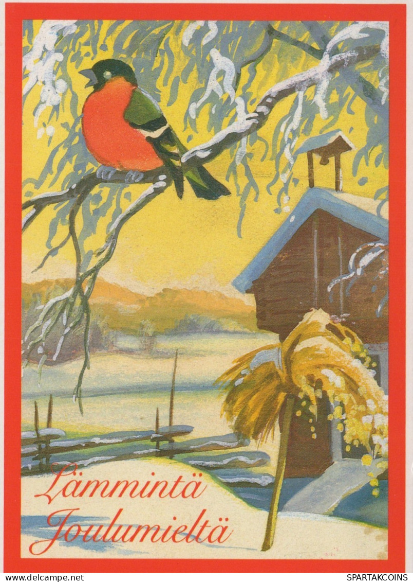 BIRD Animals Vintage Postcard CPSM #PAN082.A - Birds
