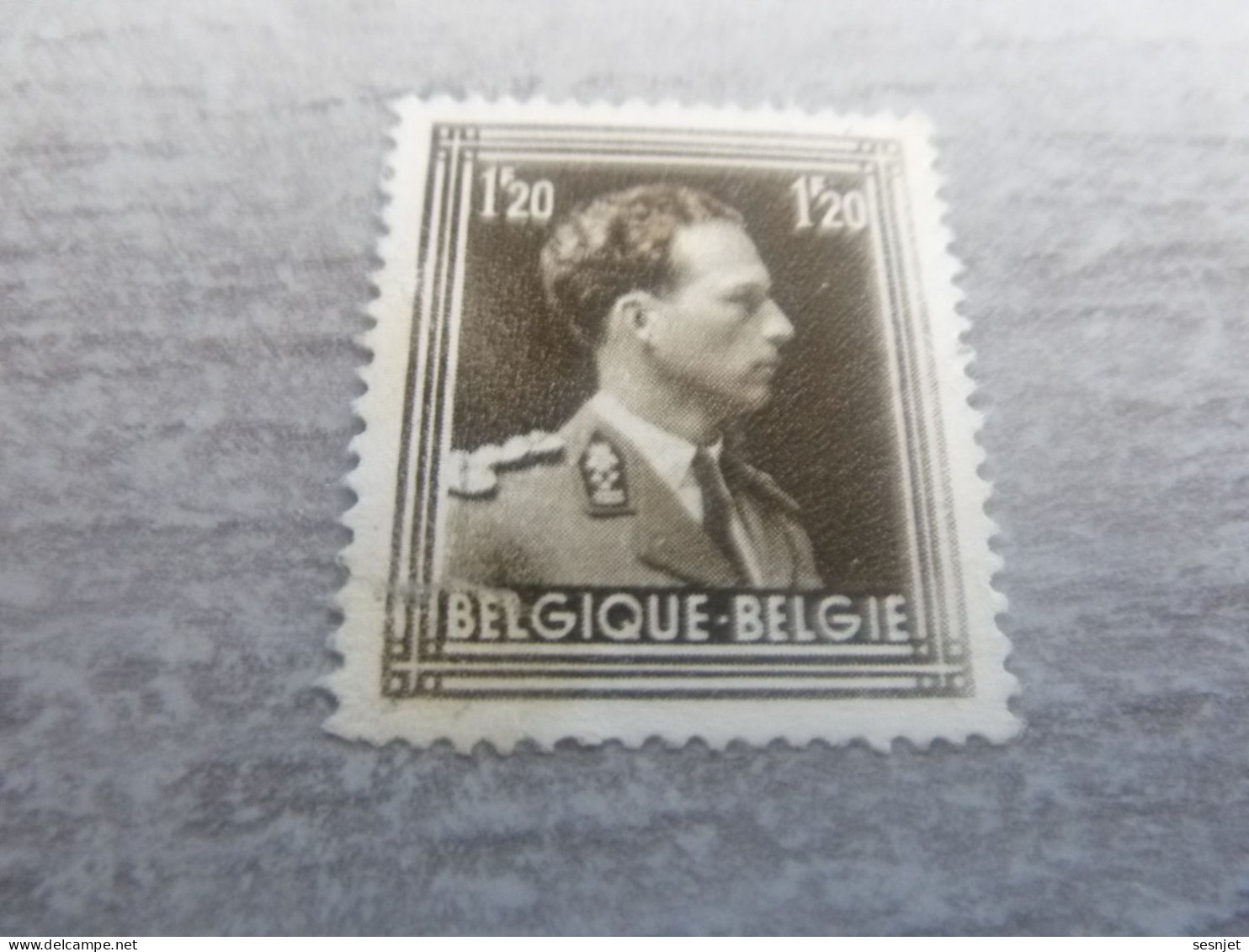 Belgique - Albert 1 - Val  1f.20 - Brun - Non Oblitéré - Année 1951 - - Neufs