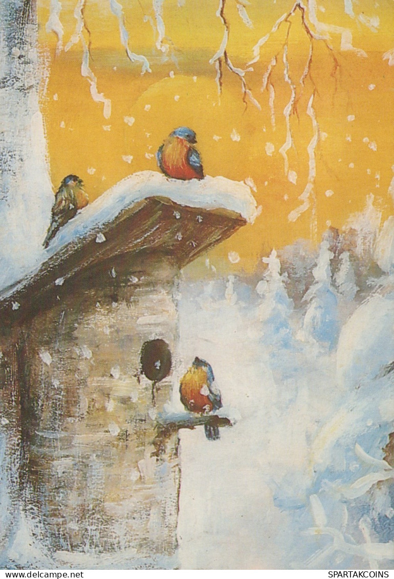 UCCELLO Animale Vintage Cartolina CPSM #PAM868.A - Birds