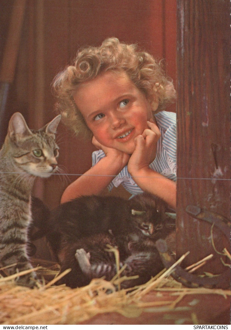 GATO GATITO Animales Vintage Tarjeta Postal CPSM Unposted #PAM282.A - Cats