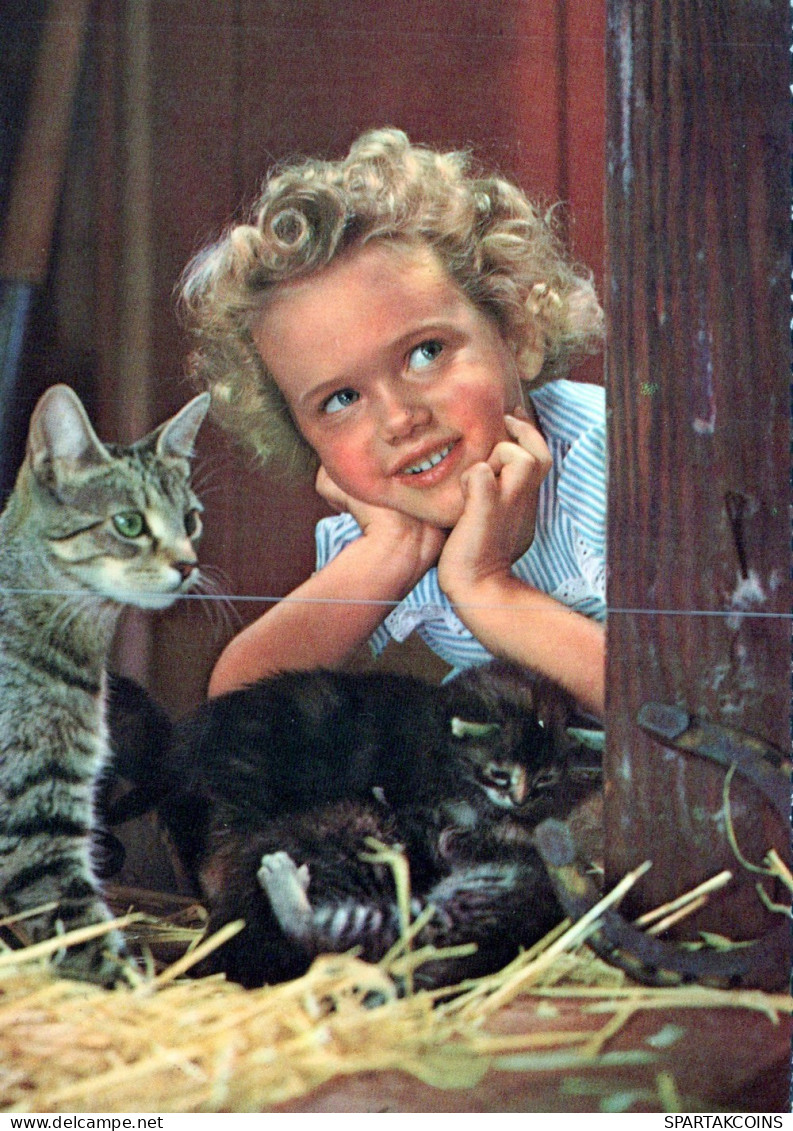 GATO GATITO Animales Vintage Tarjeta Postal CPSM Unposted #PAM282.A - Cats