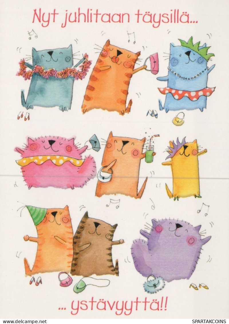 GATTO KITTY Animale Vintage Cartolina CPSM Unposted #PAM283.A - Chats