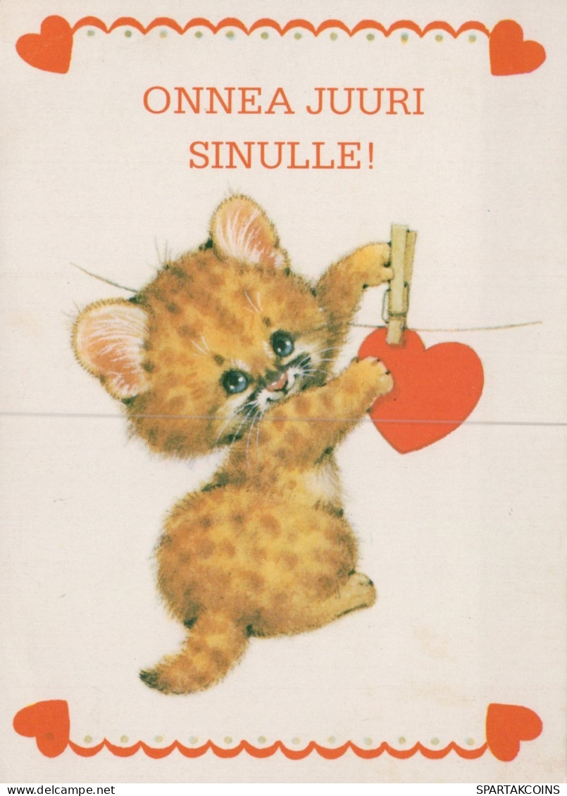 CHAT CHAT Animaux Vintage Carte Postale CPSM #PAM264.A - Chats