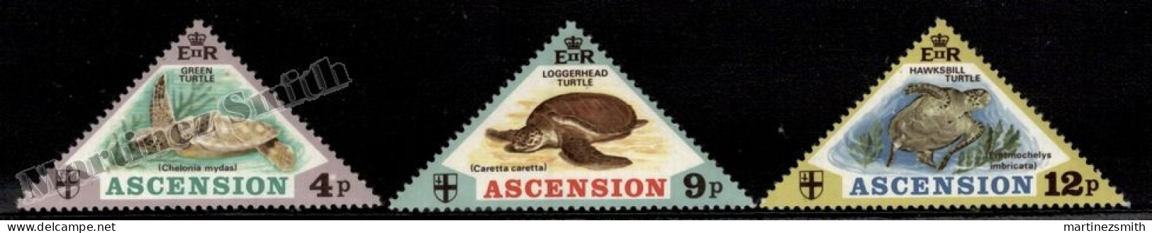 Ascension 1973 Yvert 171-73, Fauna, Sea Turtles - MNH - Ascension (Ile De L')