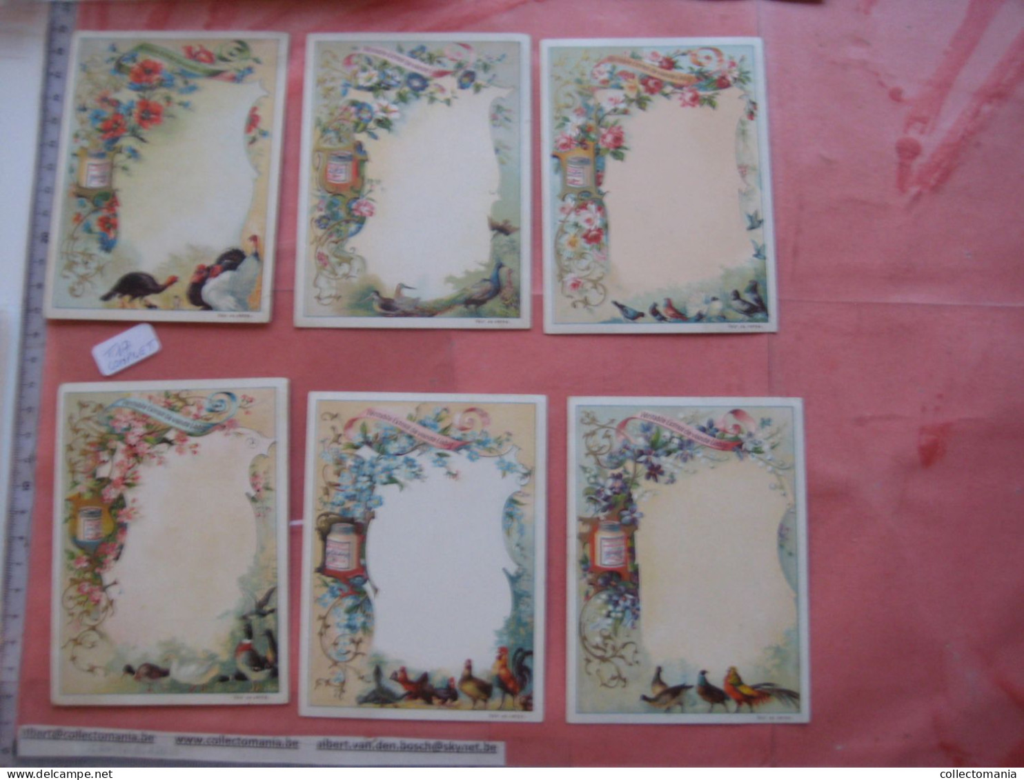 6 Cartes Chromos, 1899, Liebig Compagnie Complete Set  Tischkarten, Cartes De Table Nr 17 - Floral & Birds - Liebig