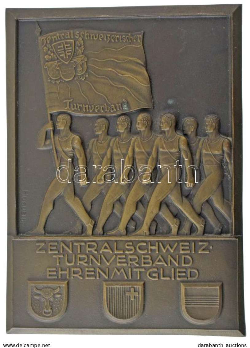 Svájc ~1930. "Közép-Svájc Tornaszövetség Tiszteletbeli Tagja" Nagyméretű, Egyoldalas Bronz Plakett, Hátoldalán Rögzítésh - Unclassified