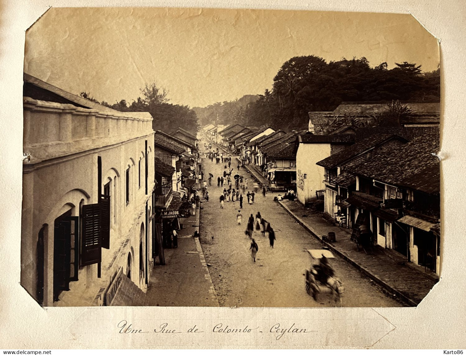 Colombo , Sri Lanka Ceylan Ceylon * Rue * JACOB Taxidermiste * Grande Photo Albuminée Circa 1885/1910 Format 26.5x21.5cm - Sri Lanka (Ceylon)