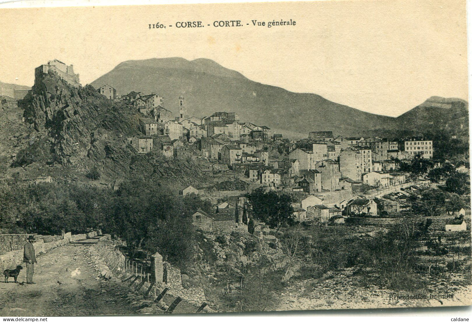 2B-CORSE  - CORTE. -  Vue. Generale.   Collection.  J.Moretti,Corté.     N°: 1160 - Corte