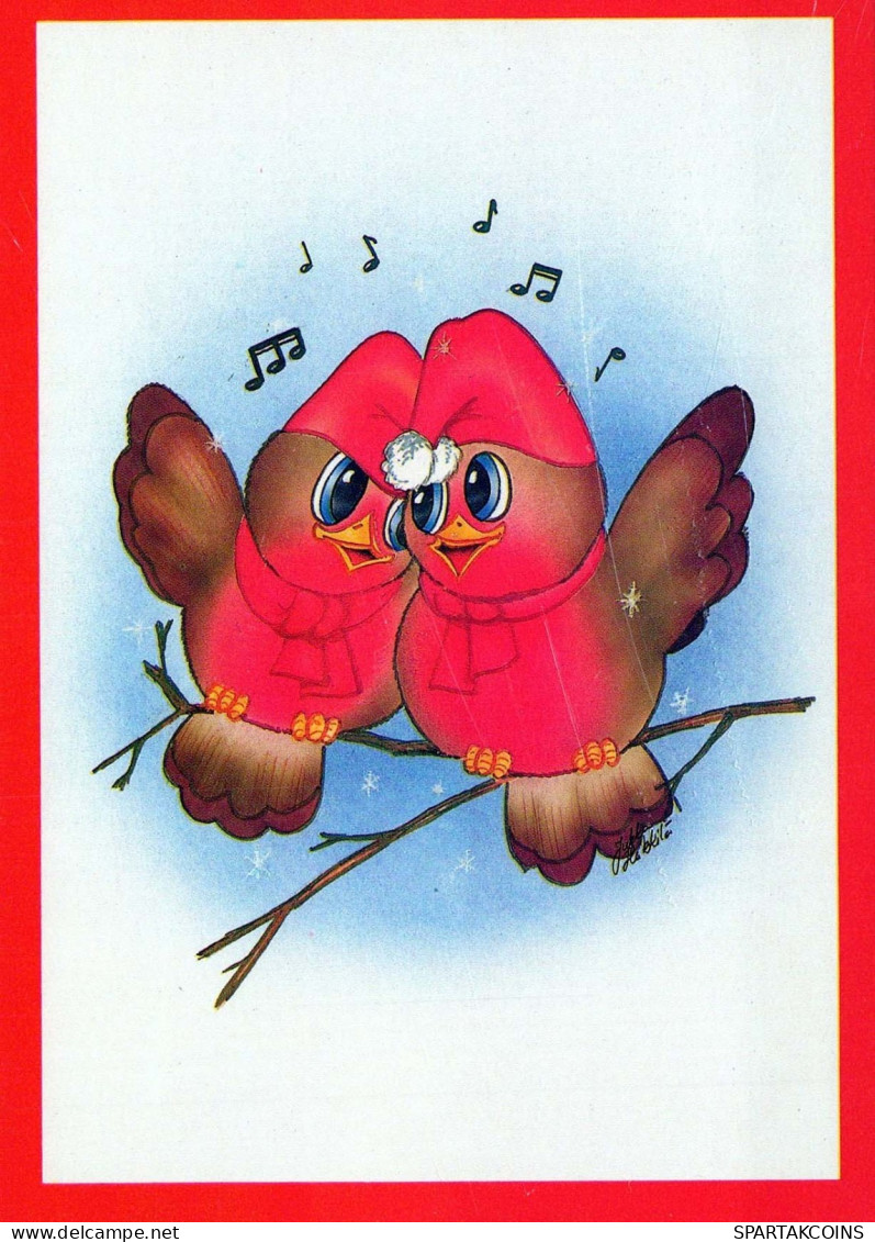 BIRD Animals Vintage Postcard CPSM #PBR499.A - Birds