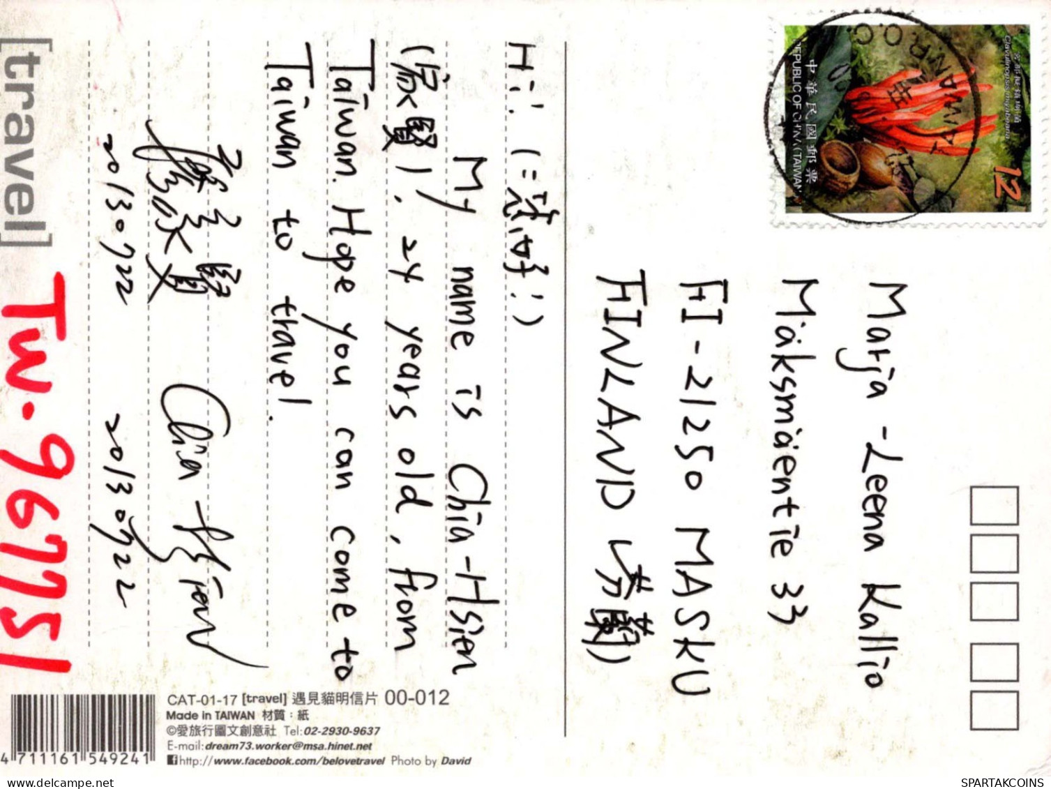 GATO GATITO Animales Vintage Tarjeta Postal CPSM #PBQ954.A - Chats