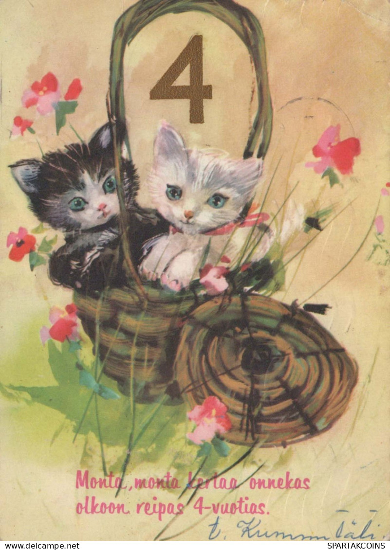 GATO GATITO Animales Vintage Tarjeta Postal CPSM #PBQ869.A - Chats