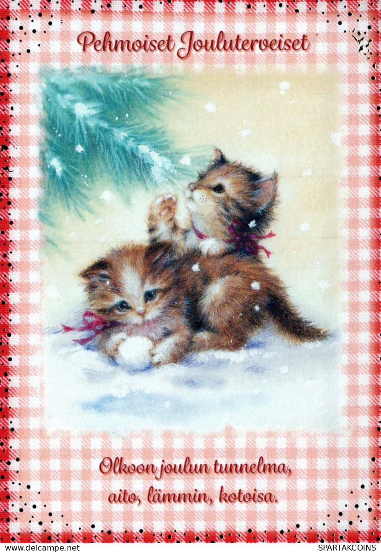 KATZE MIEZEKATZE Tier Vintage Ansichtskarte Postkarte CPSM #PBQ842.A - Chats