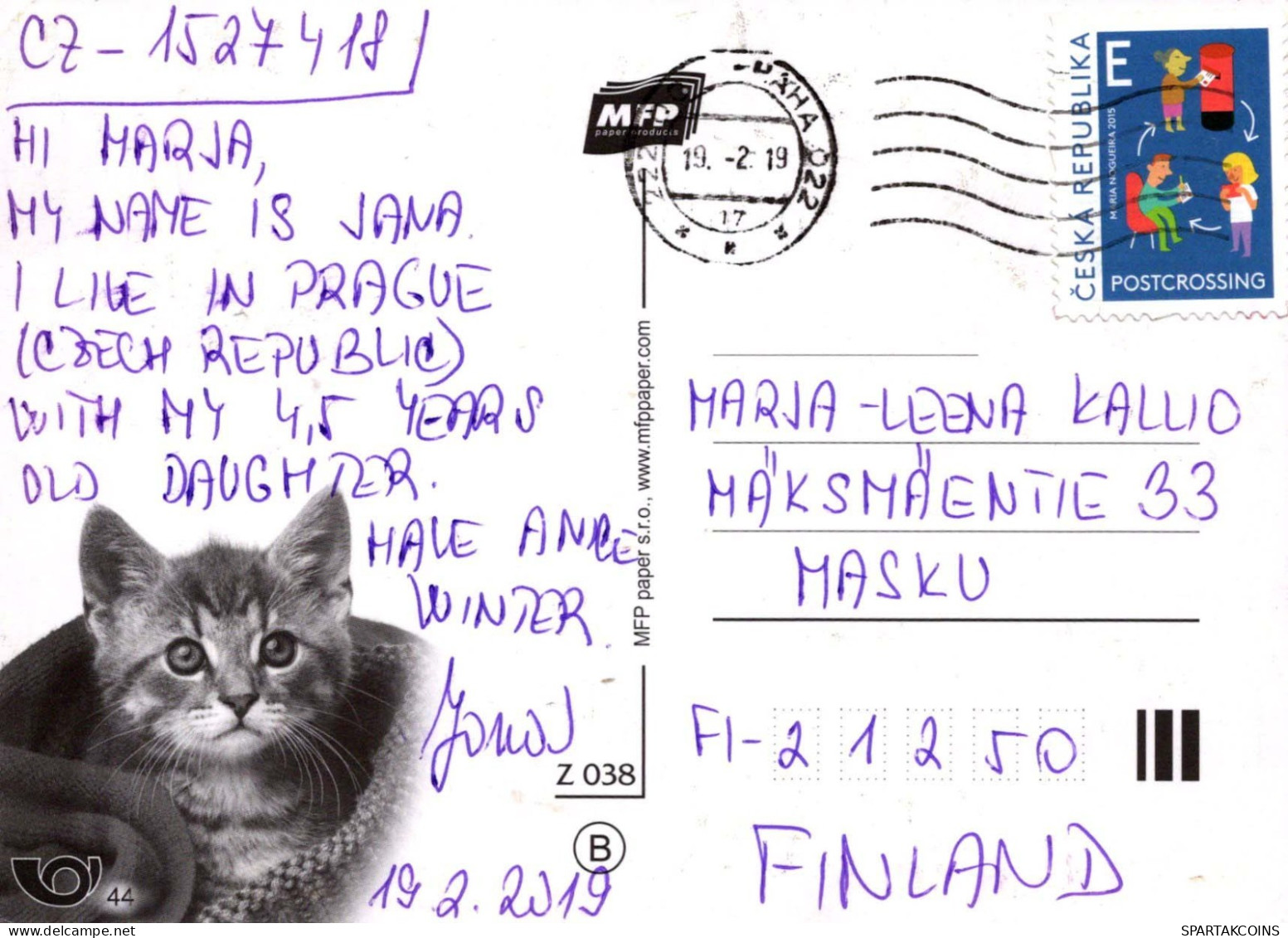 CAT KITTY Animals Vintage Postcard CPSM #PBQ753.A - Cats