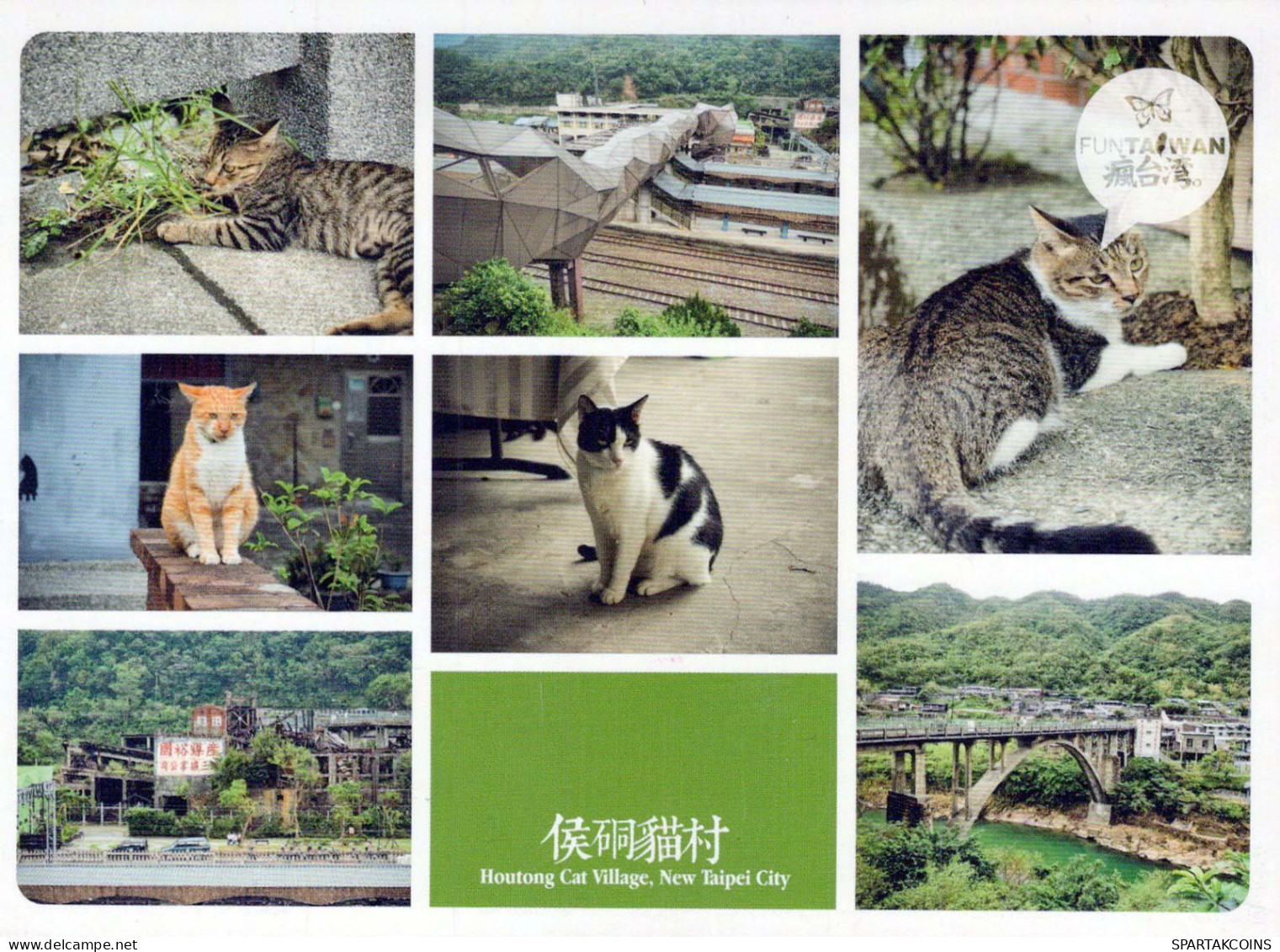 GATTO KITTY Animale Vintage Cartolina CPSM #PBQ750.A - Cats
