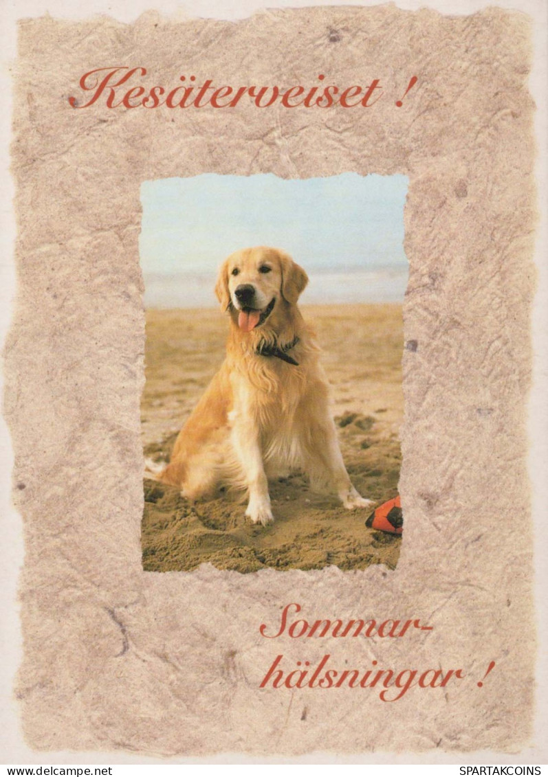 HUND Tier Vintage Ansichtskarte Postkarte CPSM #PBQ527.A - Chiens